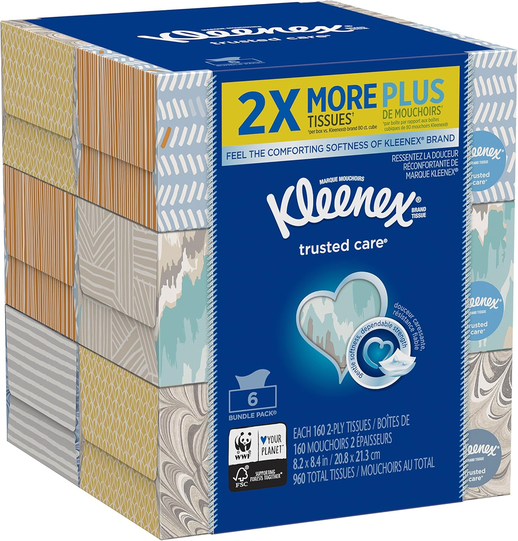 Care Everyday Facial Tissues, Flat Box, 160 Count (Pack of 6)